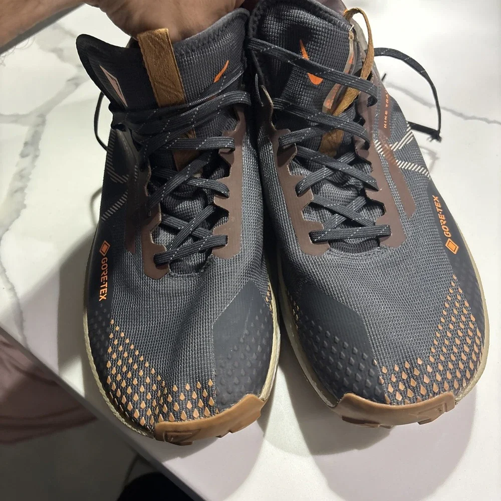 Size 13 - Nike React Pegasus Trail 4 GORE-TEX Anthracite Ale Brown